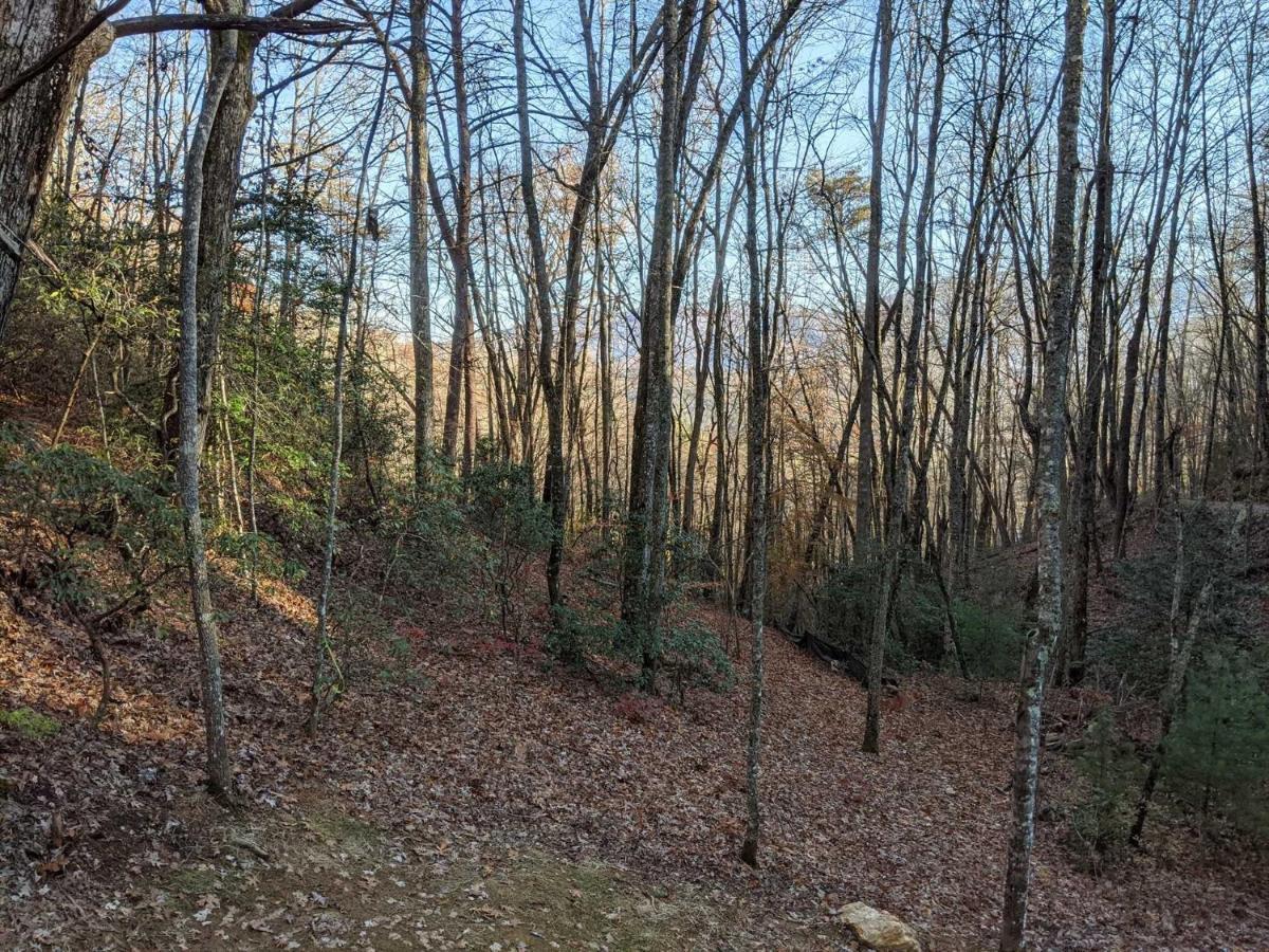 Deep Creek Hideaway Cabin مدينة كليرمونت المظهر الخارجي الصورة